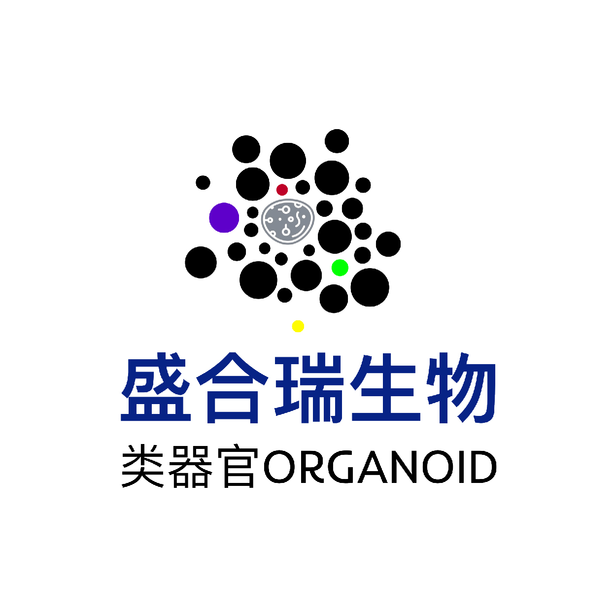 盛合瑞生物